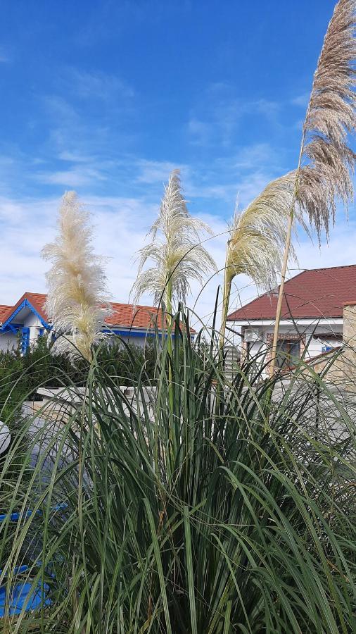 Complex Turistic Essenza Hotel Murighiol Bagian luar foto